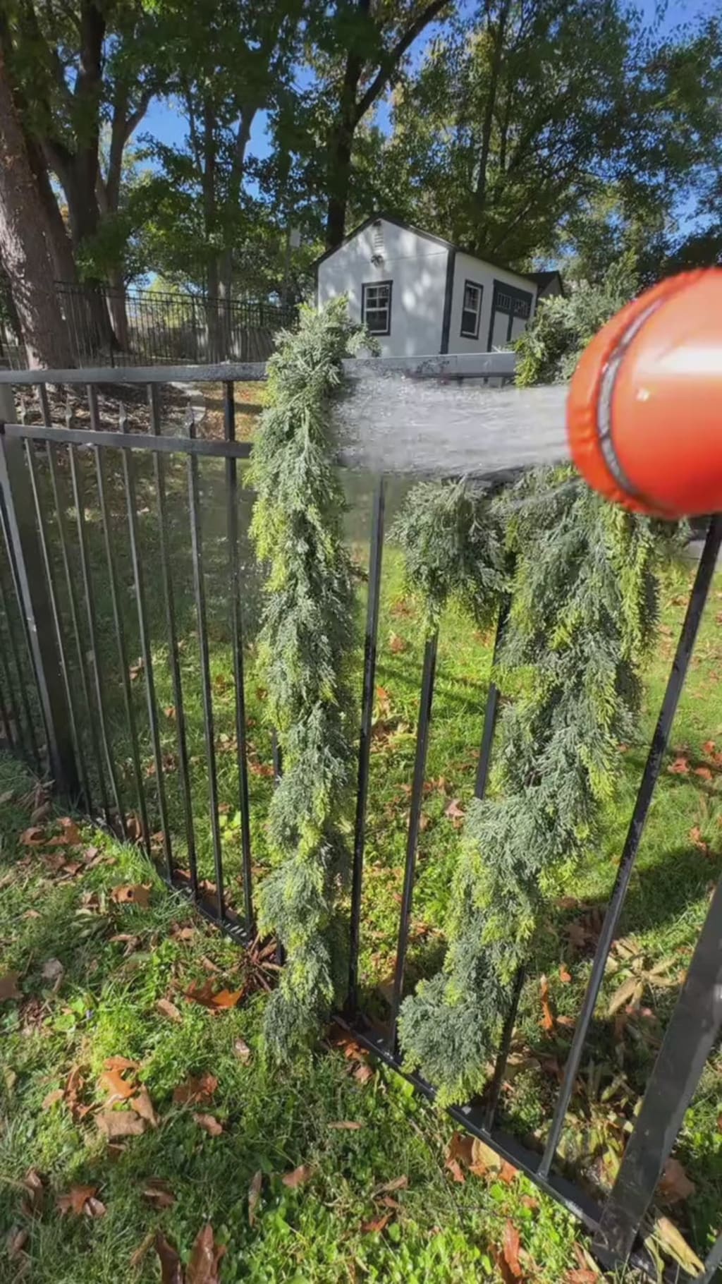 Kami™ 9'ft Cedar Garlands