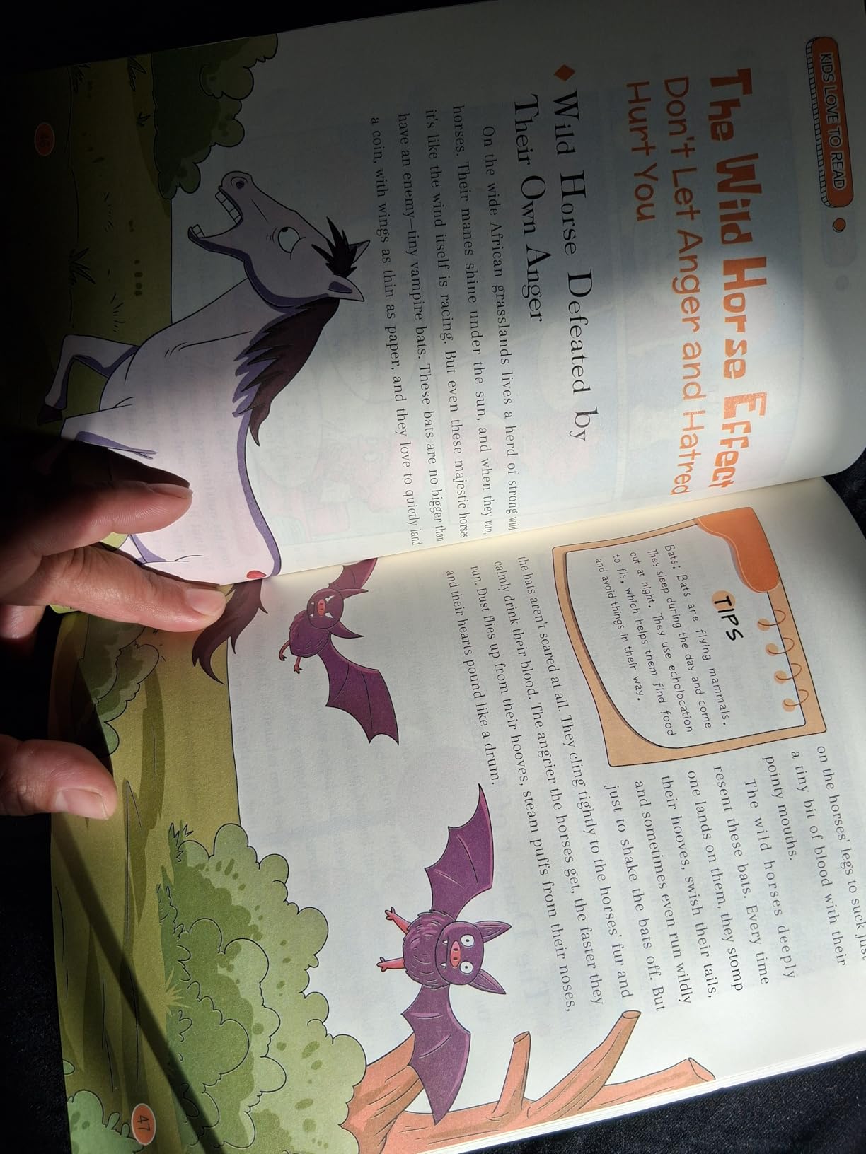 Murphy's Law Life Principles for Children